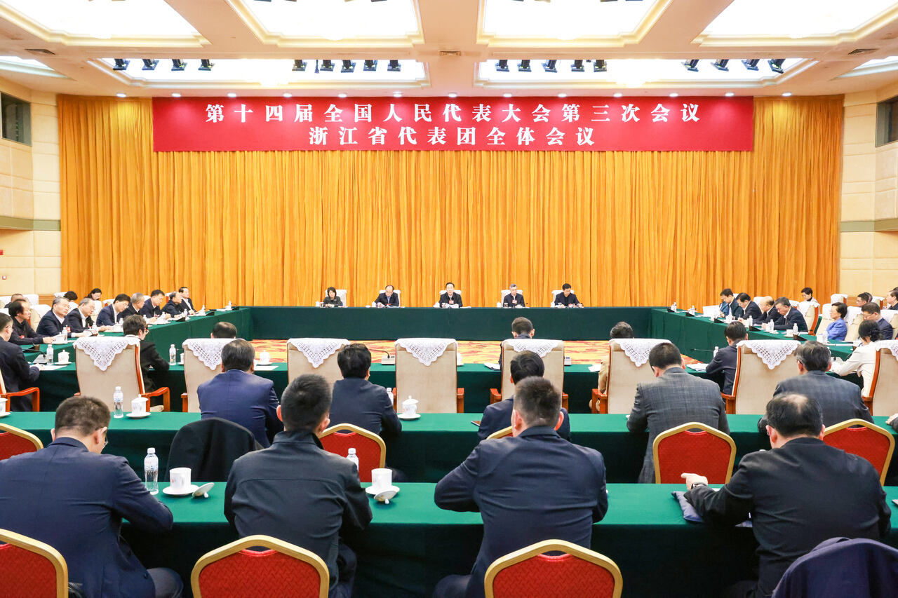 浙江代表团举行全体会议 推选王...