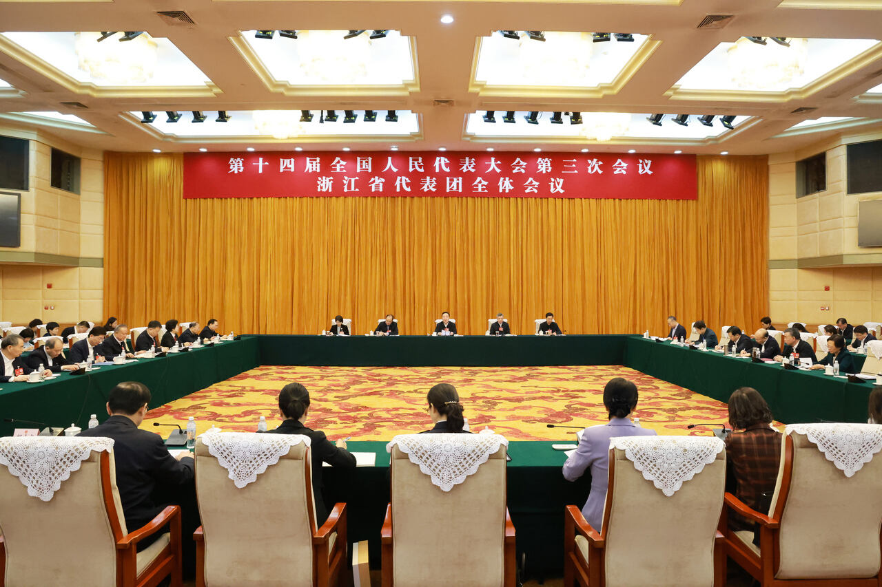 浙江代表团审议“两高”工作报告...