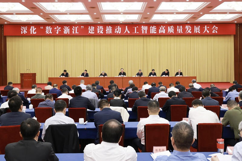 王浩在推动人工智能高质量发展大...
