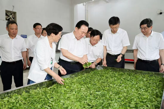 王浩在淳安调研时强调 护好一湖...
